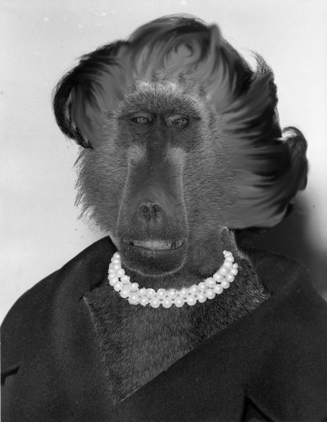 Ann_Landers baboon 2