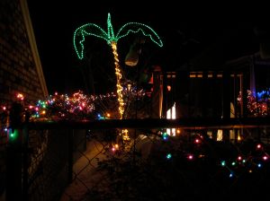 Fantasy Vacation Photo 5