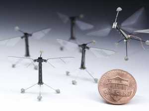 these-flying-robot-flies-will-haunt-you-video