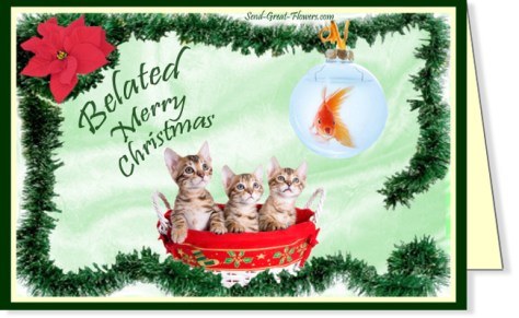 belated-cat-humor-christmas-ecard-lg