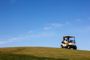 Photo: gal2.org/David July