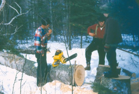 Logging 1