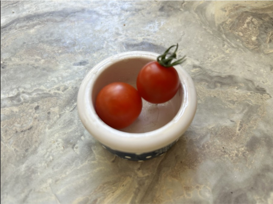 Cherry Tomato Delight | Trail Baboon